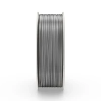 Fiberlogy PCTG Inox 1 kg